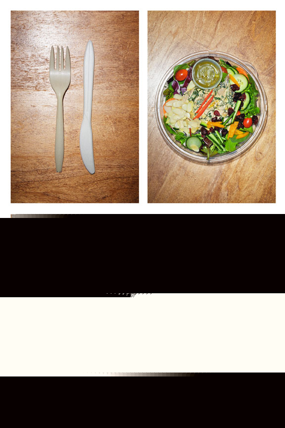 12_lunch_dinner_takeout_montreal